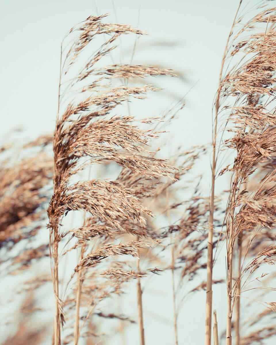https://myvibeup.com/wp-content/uploads/2018/04/post_11-960x1200.jpg